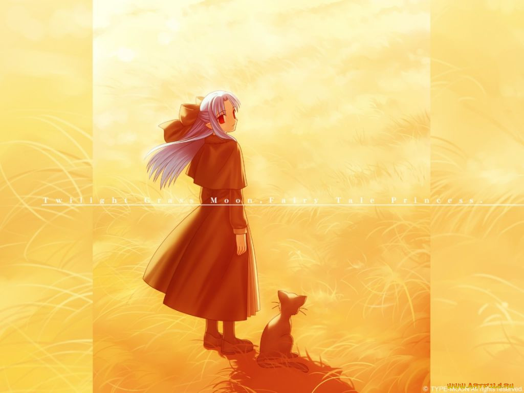 , tsukihime